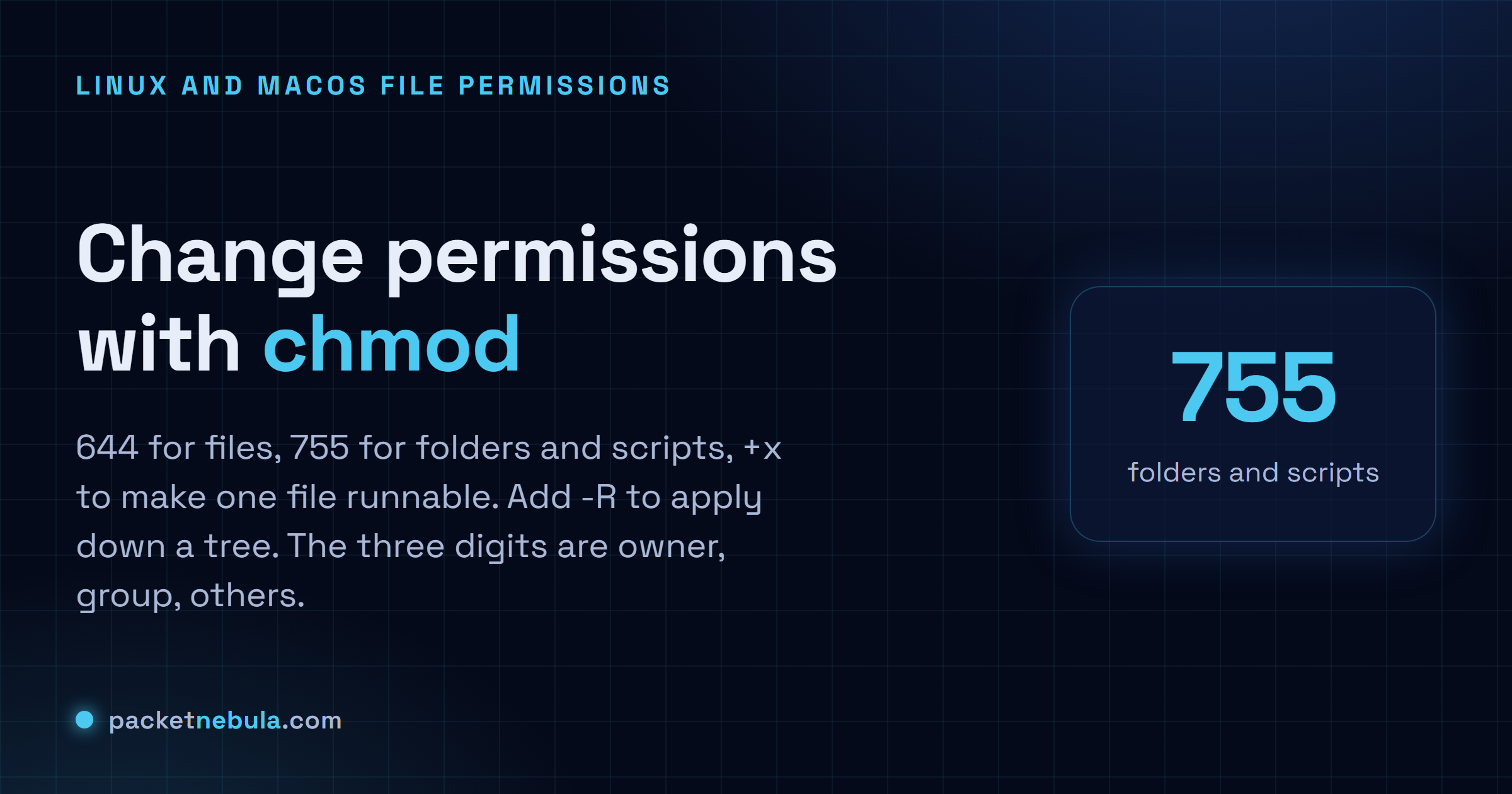 Answer card showing chmod 644 for files, 755 for folders and scripts, +x to make runnable, and -R for recursive.