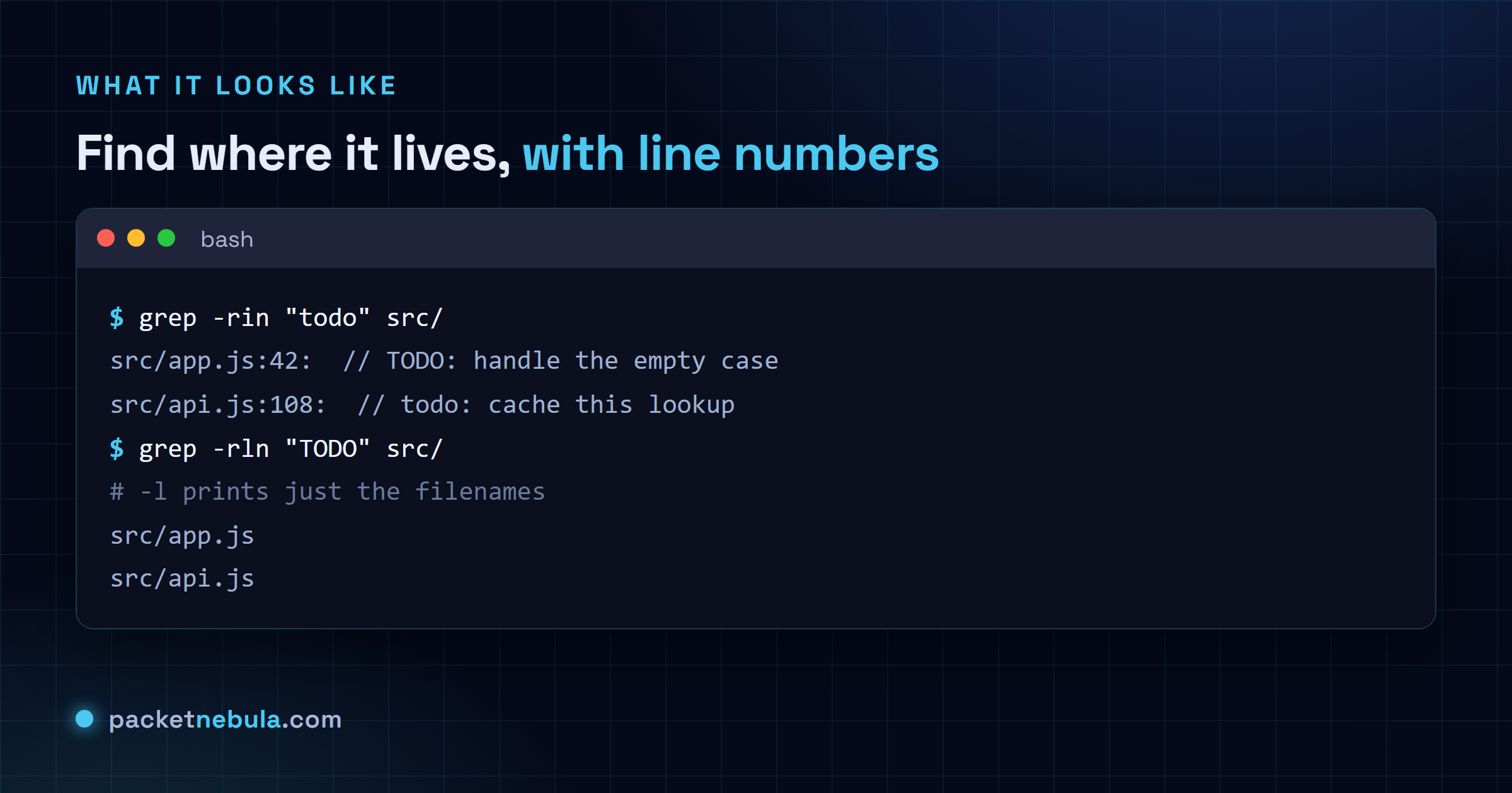 Terminal showing grep -rin finding TODO comments with line numbers, then grep -rln listing only the filenames.