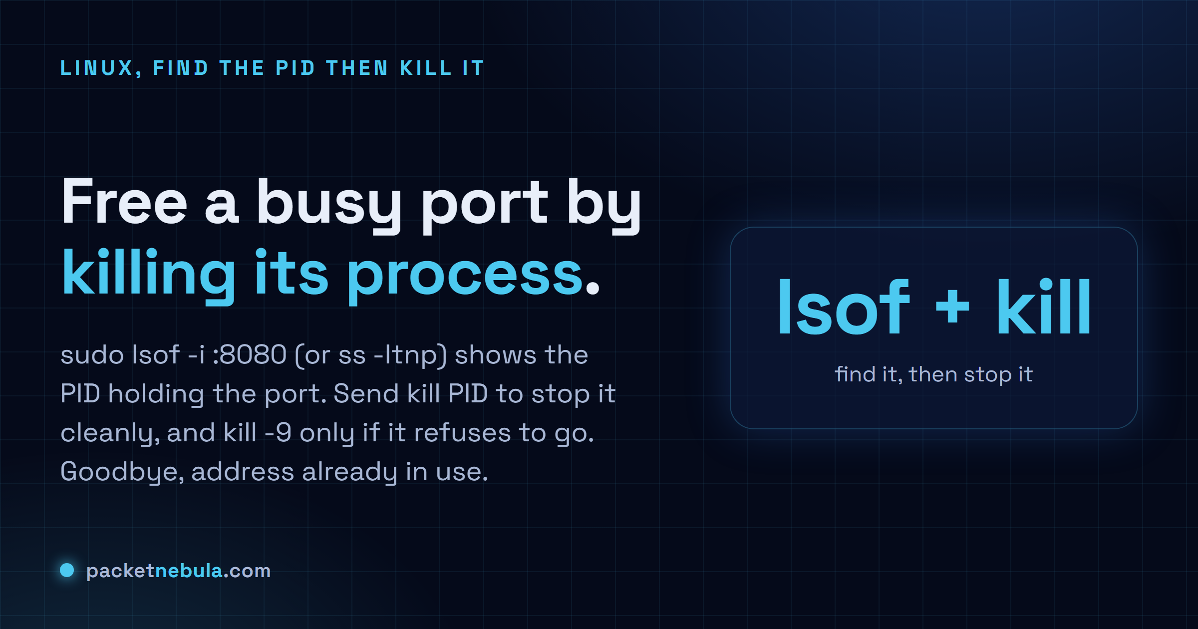 Answer card showing sudo lsof -i :8080 to find the PID on a port, then kill to free it, on Linux.