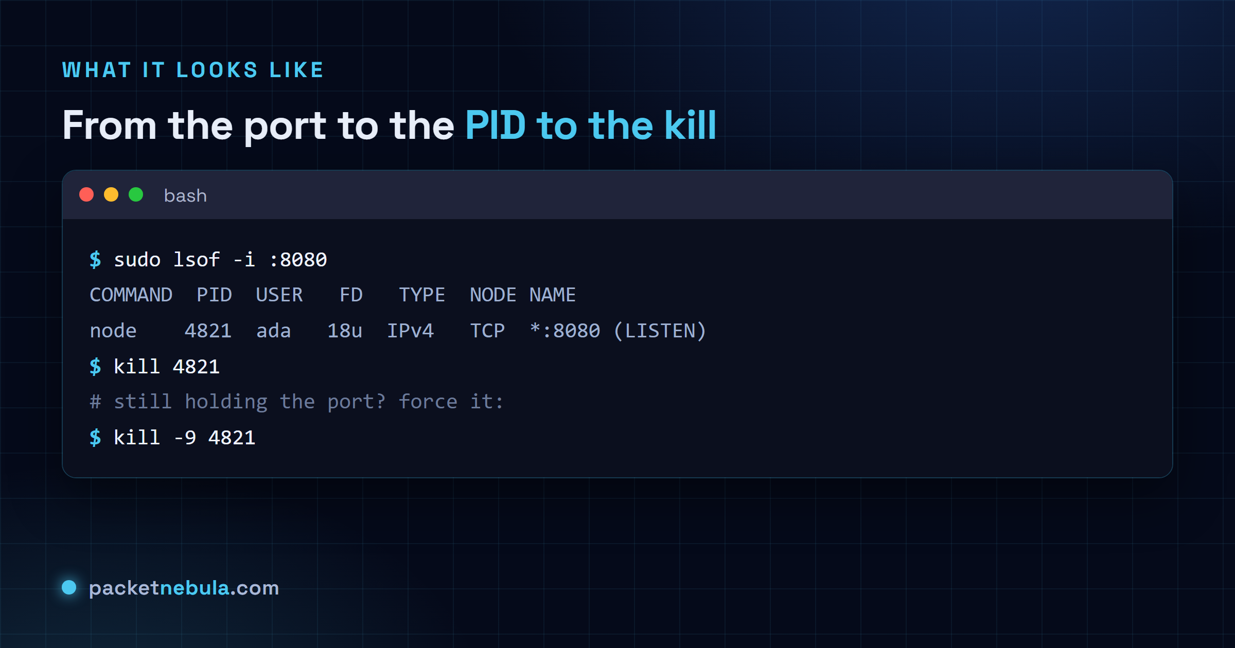 Terminal showing sudo lsof -i :8080 finding node on PID 4821, then kill 4821 and kill -9 4821 as a fallback.