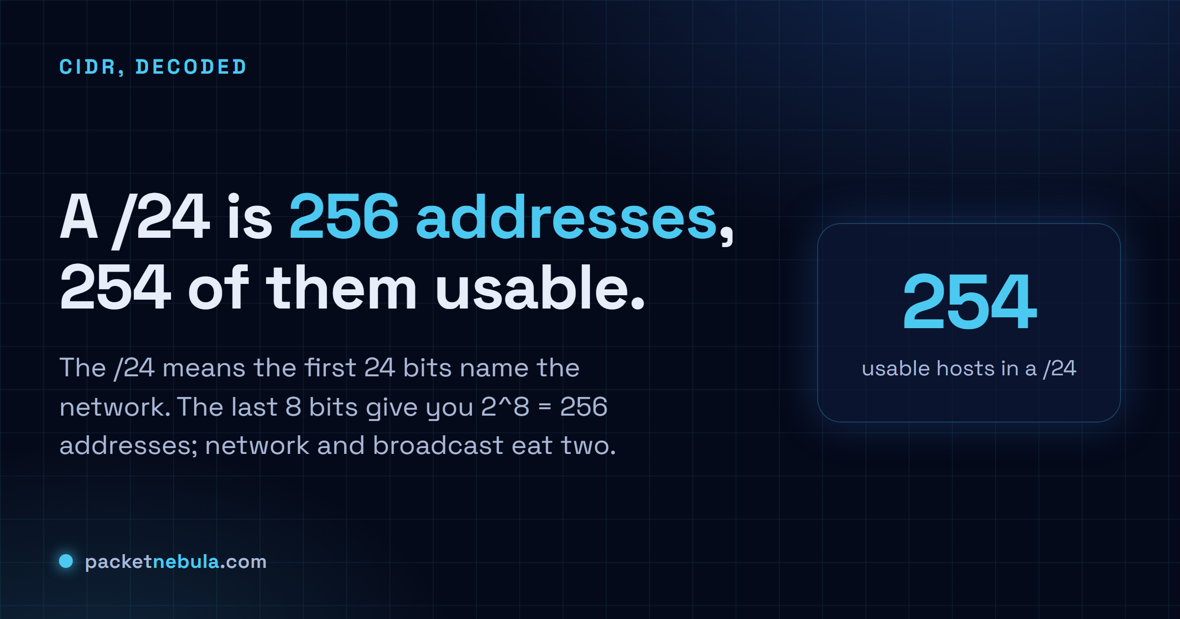 Answer card explaining that a /24 subnet contains 256 addresses of which 254 are usable for hosts.