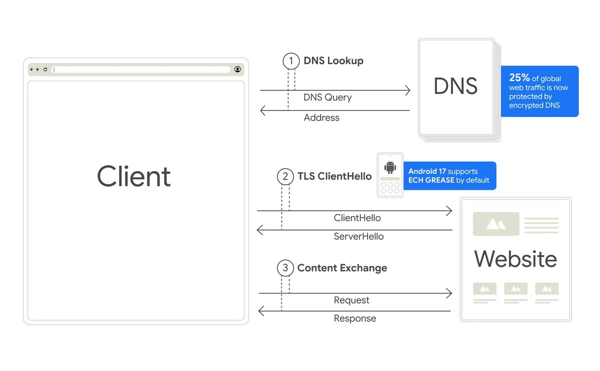 Official Google diagram of a client connection in three numbered steps: a DNS lookup with a query and an address, a TLS ClientHello and ServerHello, then a content exchange with a website. A callout on the DNS step reads 25% of global web traffic is now protected by encrypted DNS, and a callout beside an Android phone on the ClientHello step reads Android 17 supports ECH GREASE by default.