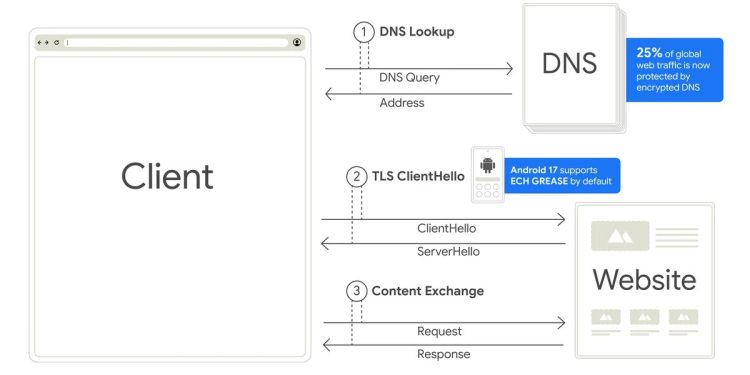 Official Google diagram of a client connection in three numbered steps: a DNS lookup with a query and an address, a TLS ClientHello and ServerHello, then a content exchange with a website. A callout on the DNS step reads 25% of global web traffic is now protected by encrypted DNS, and a callout beside an Android phone on the ClientHello step reads Android 17 supports ECH GREASE by default.