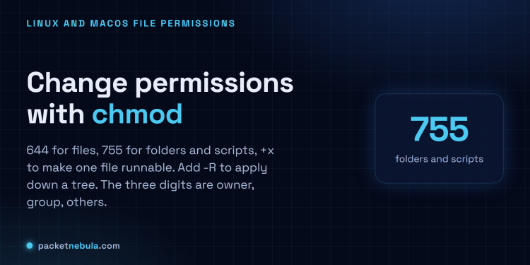 Answer card: chmod 644 for files, chmod 755 for scripts and folders, chmod +x to make a file executable, chmod -R to apply down a tree.
