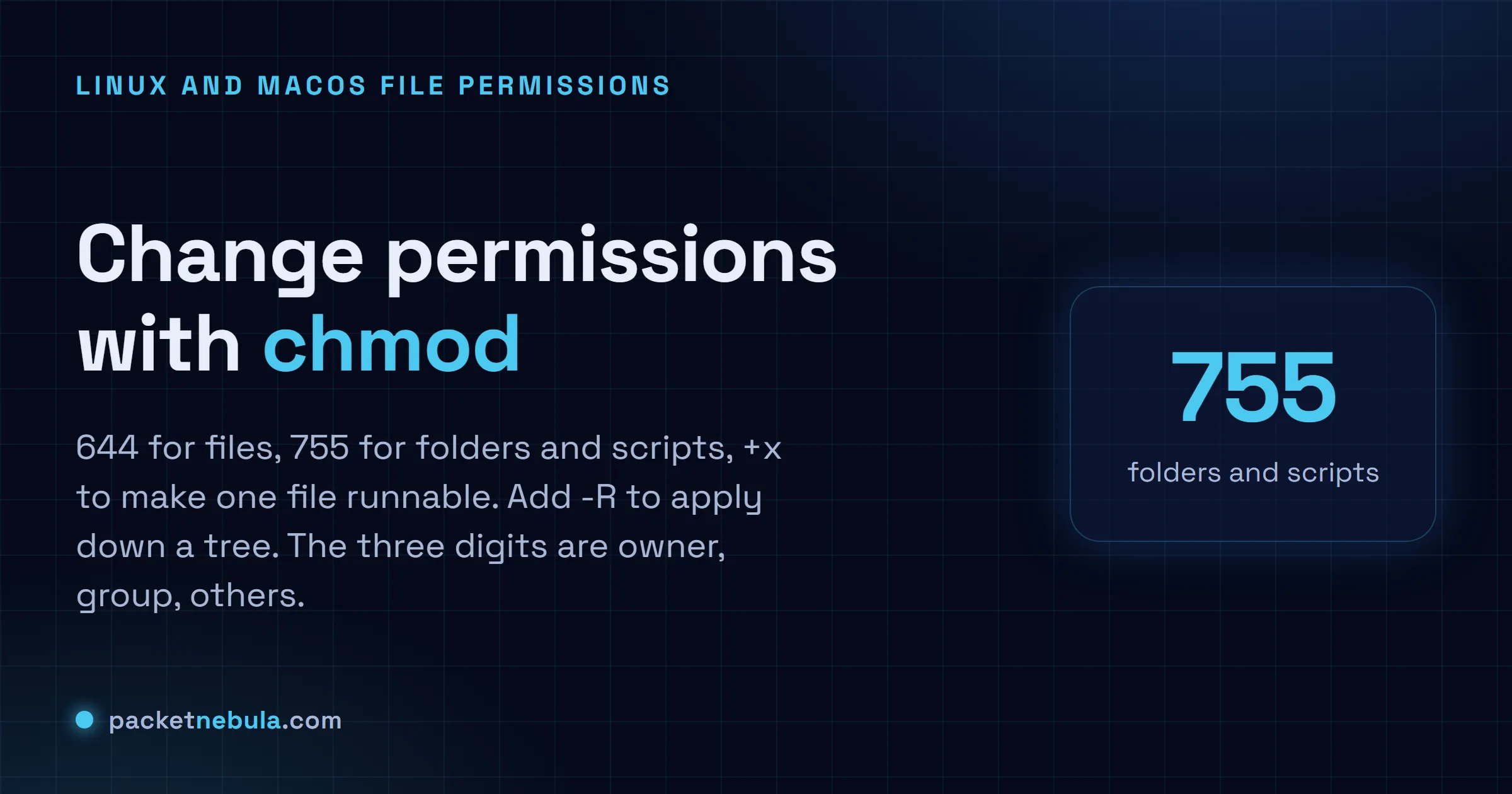 Answer card showing chmod 644 for files, 755 for folders and scripts, +x to make runnable, and -R for recursive.
