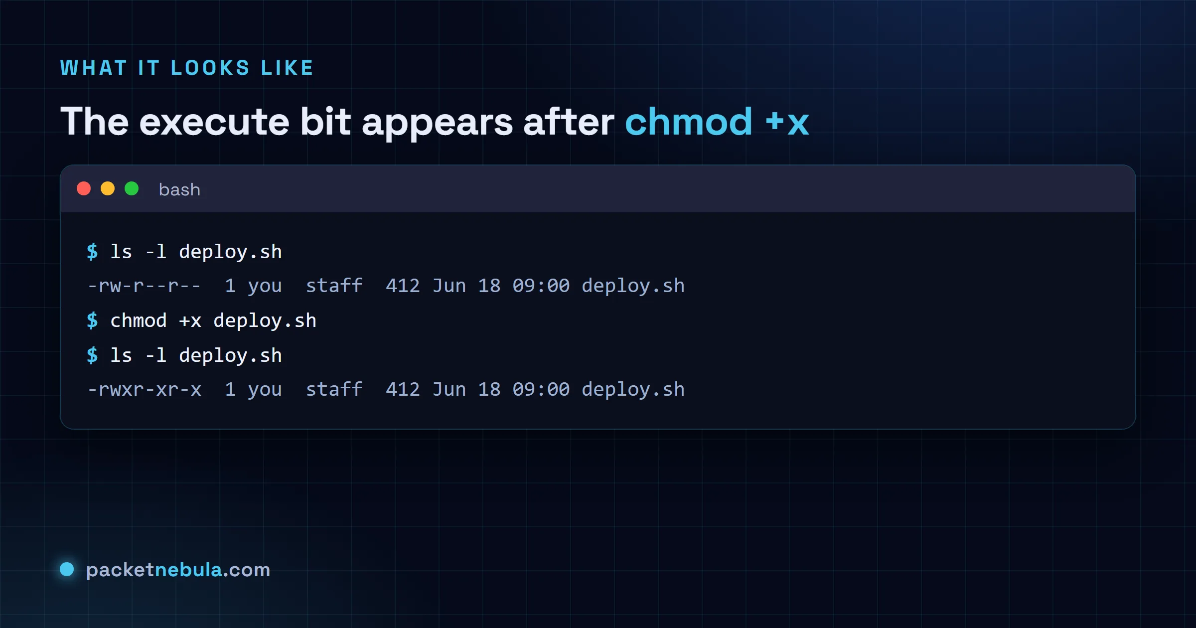Terminal showing ls -l before and after chmod +x, with the execute bit appearing in the permission string.