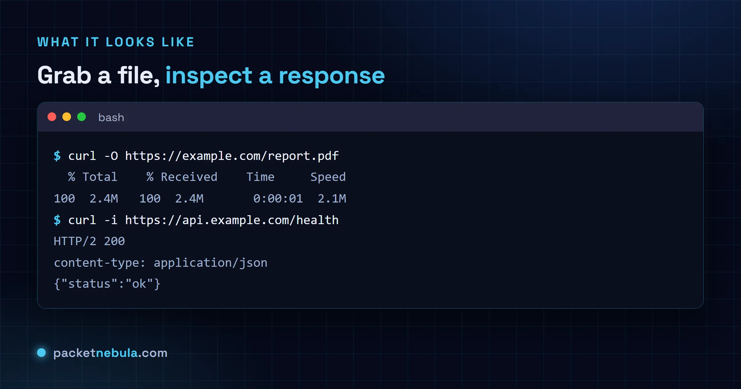 Terminal showing curl -O downloading a PDF with a progress bar, then curl -i printing an HTTP 200 response with JSON.