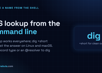 Answer card: nslookup on any OS, dig on Linux and macOS, dig +short for just the answer, and @8.8.8.8 to query a specific resolver.