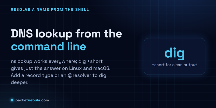 Answer card: nslookup on any OS, dig on Linux and macOS, dig +short for just the answer, and @8.8.8.8 to query a specific resolver.
