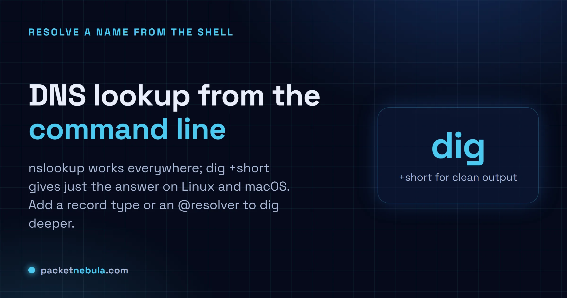 Answer card showing nslookup on any OS, dig and dig +short on Linux and macOS, plus querying a specific resolver with @.