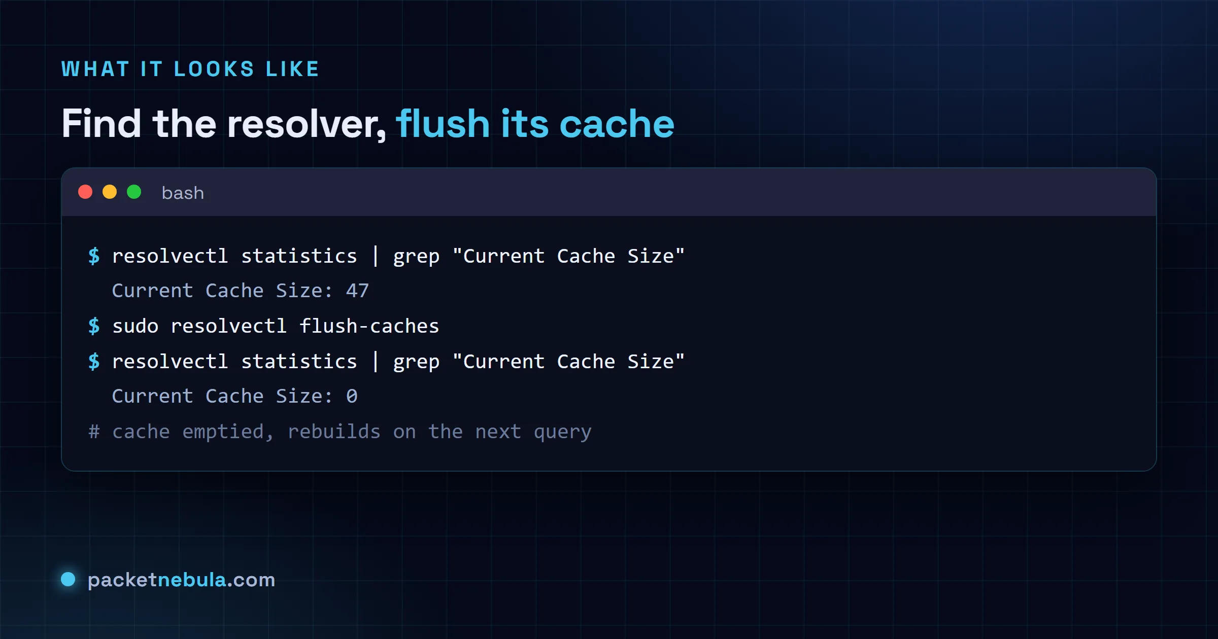 Terminal showing resolvectl statistics before and after sudo resolvectl flush-caches, with the cache size dropping to zero.
