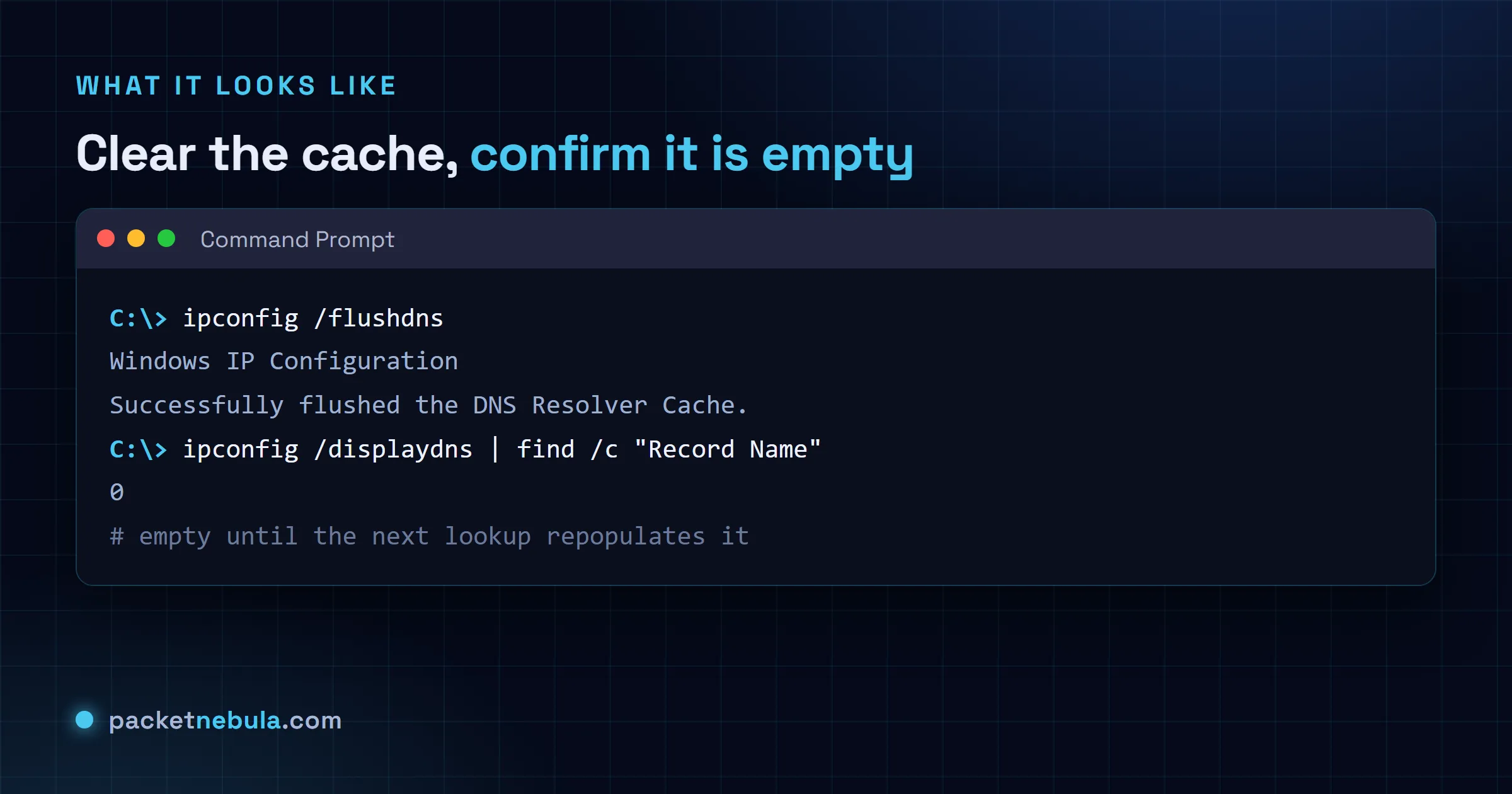 Command Prompt showing ipconfig /flushdns reporting success, then ipconfig /displaydns showing an empty cache.