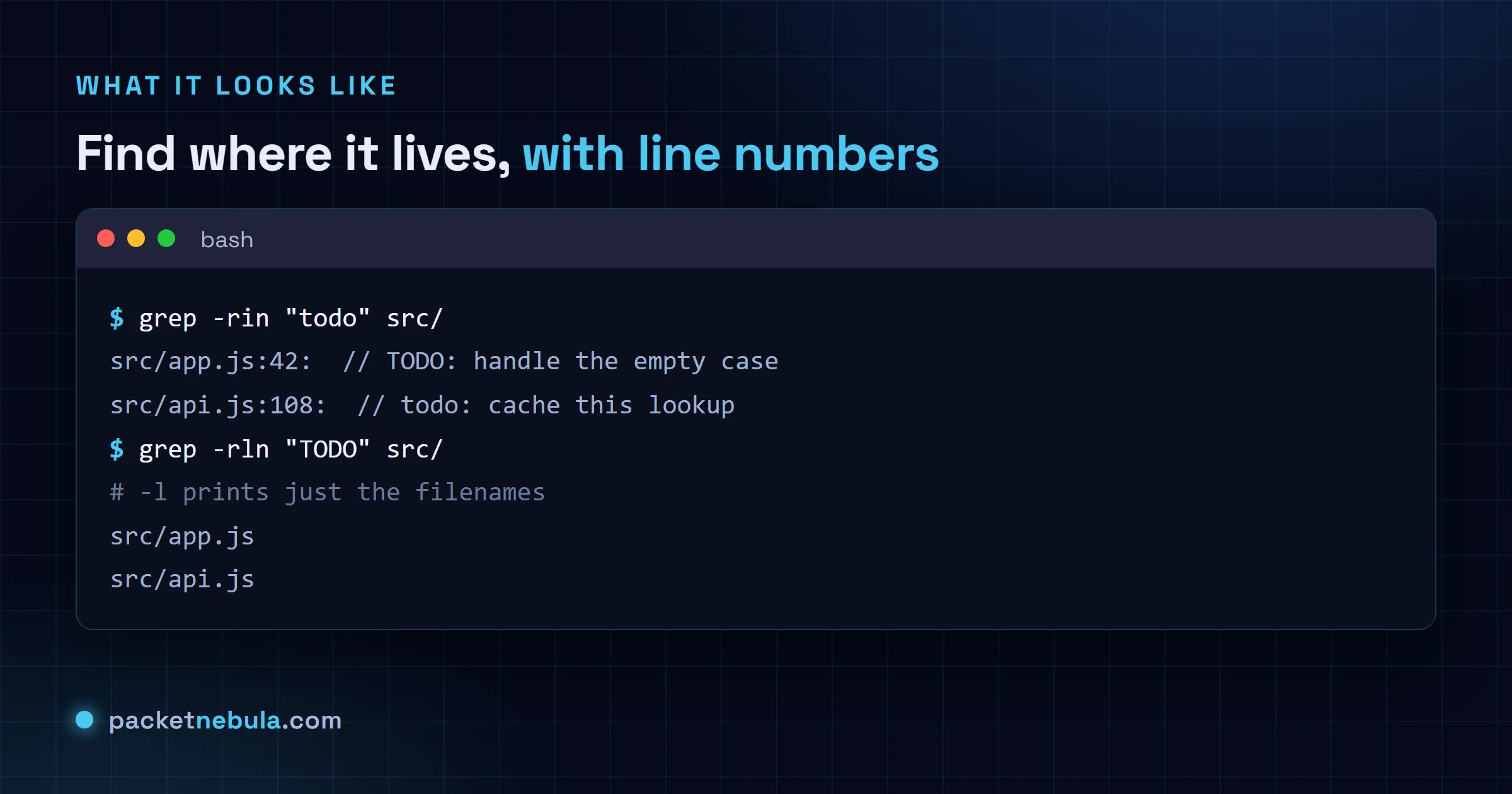 Terminal showing grep -rin finding TODO comments with line numbers, then grep -rln listing only the filenames.