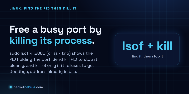Answer card: free a busy port on Linux by finding the PID with sudo lsof -i :8080 then running kill, or kill -9 as a last resort.