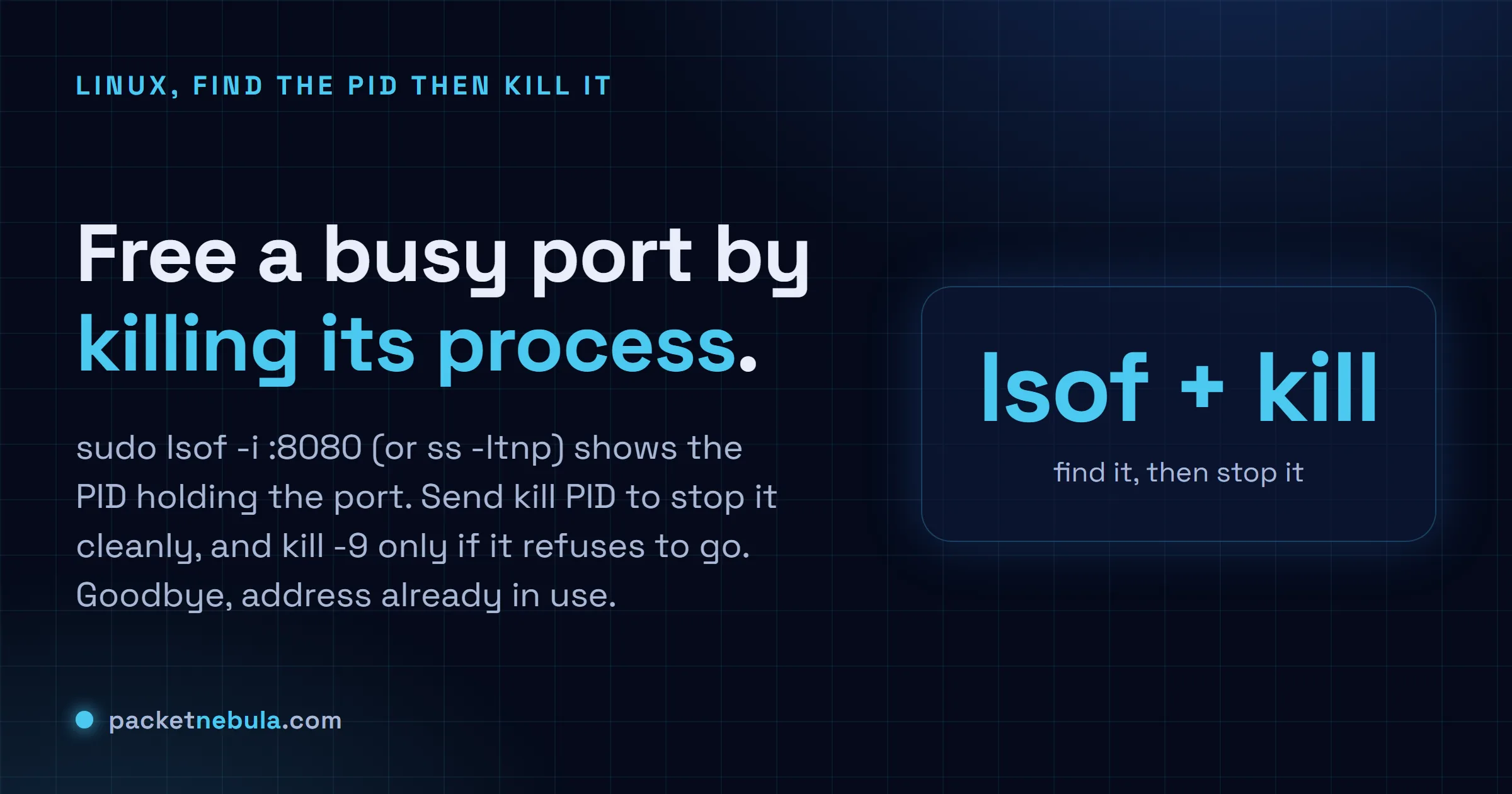 Answer card showing sudo lsof -i :8080 to find the PID on a port, then kill to free it, on Linux.