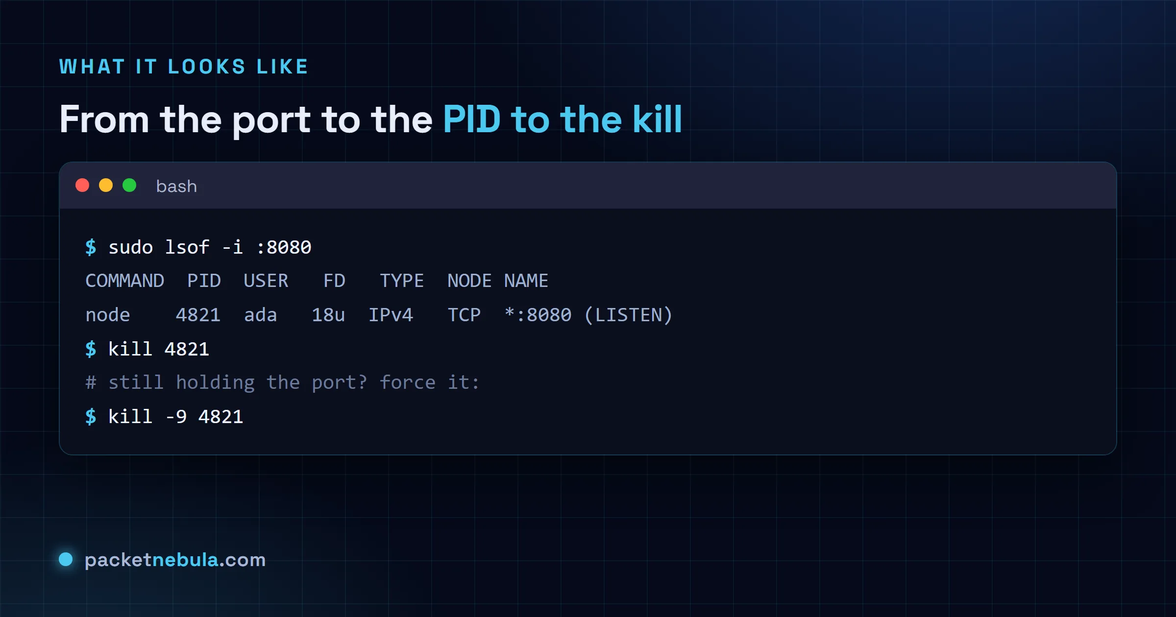 Terminal showing sudo lsof -i :8080 finding node on PID 4821, then kill 4821 and kill -9 4821 as a fallback.