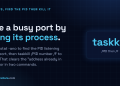 Answer card: free a busy port on Windows by finding the PID with netstat -ano then running taskkill /PID number /F.