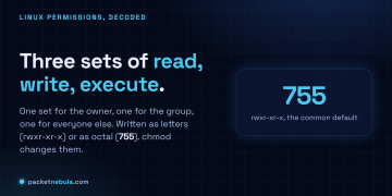 Answer card: every file has three permission sets (owner, group, other), each with read write execute, written as letters like rwxr-xr-x or as octal like 755.