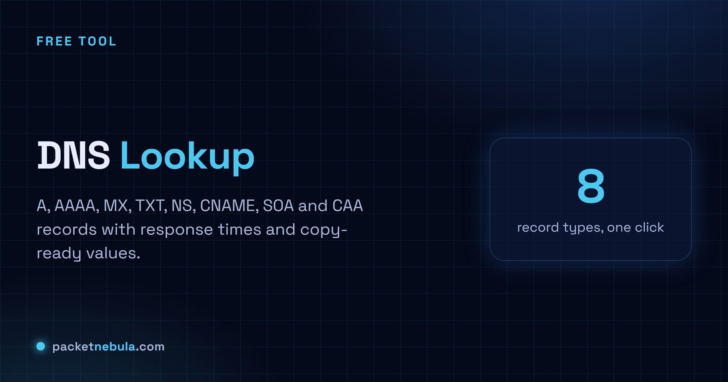 DNS Lookup: Every record for a domain, plus a zone health read that flags missing MX, SPF, DMARC and CAA.