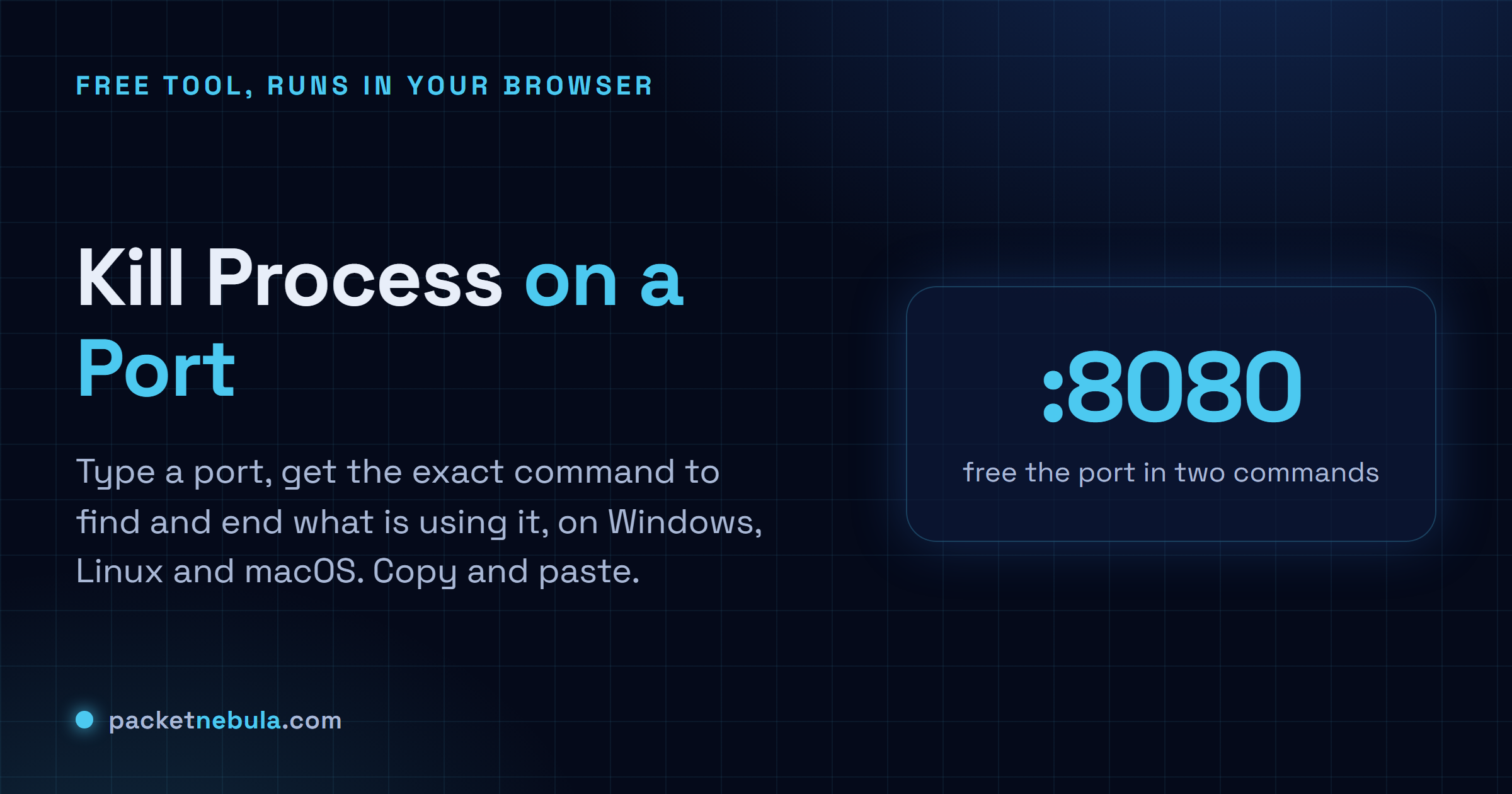 Kill Process on Port: Type a port and get the exact command to find and kill what is using it, on Windows, Linux and macOS.