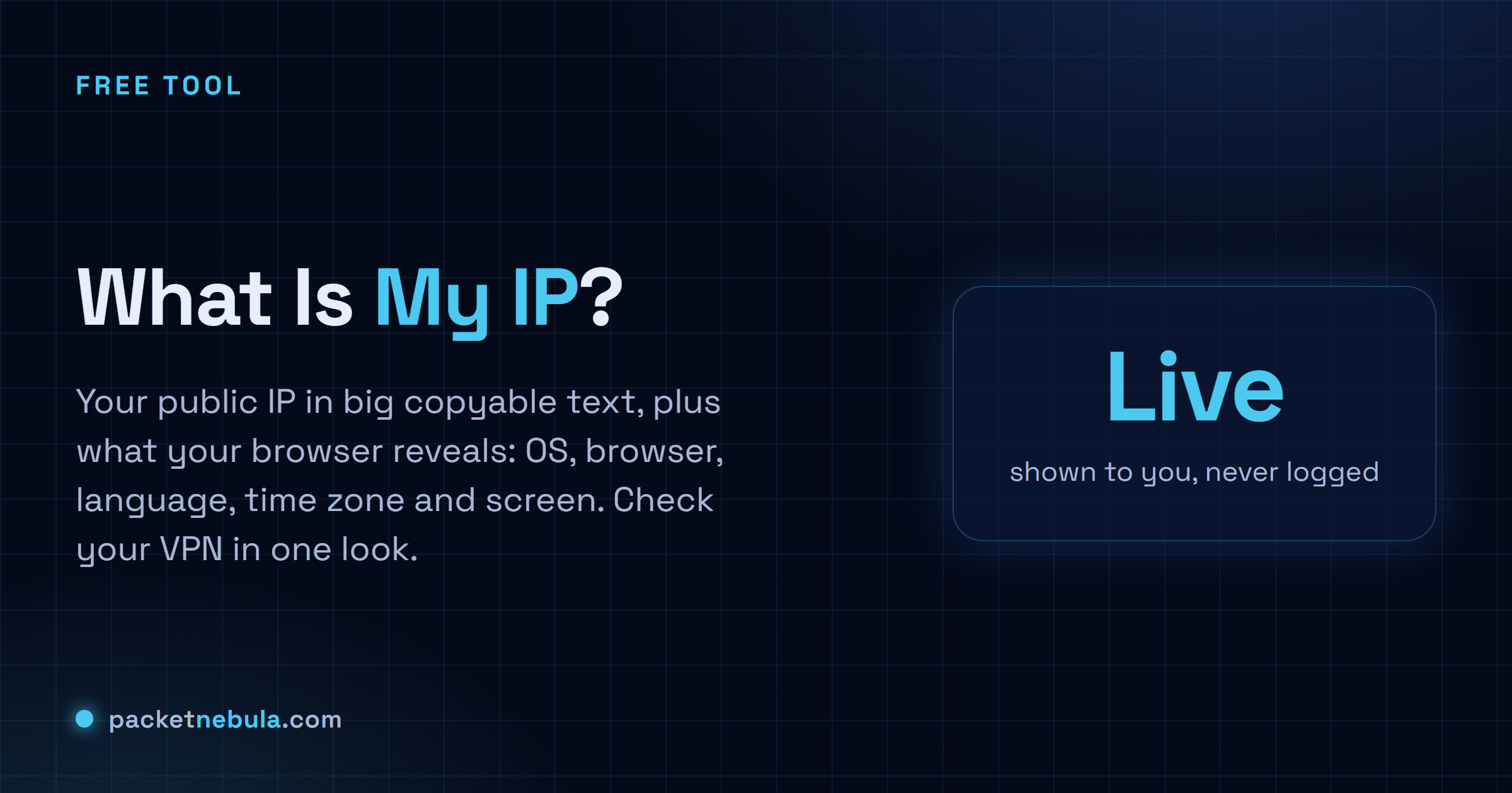 What Is My IP: Your public IP address, plus what your browser quietly reveals about you.