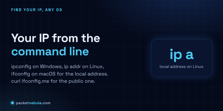 Answer card: ipconfig on Windows, ip addr on Linux, ifconfig on macOS for the local IP, and curl ifconfig.me for the public IP.
