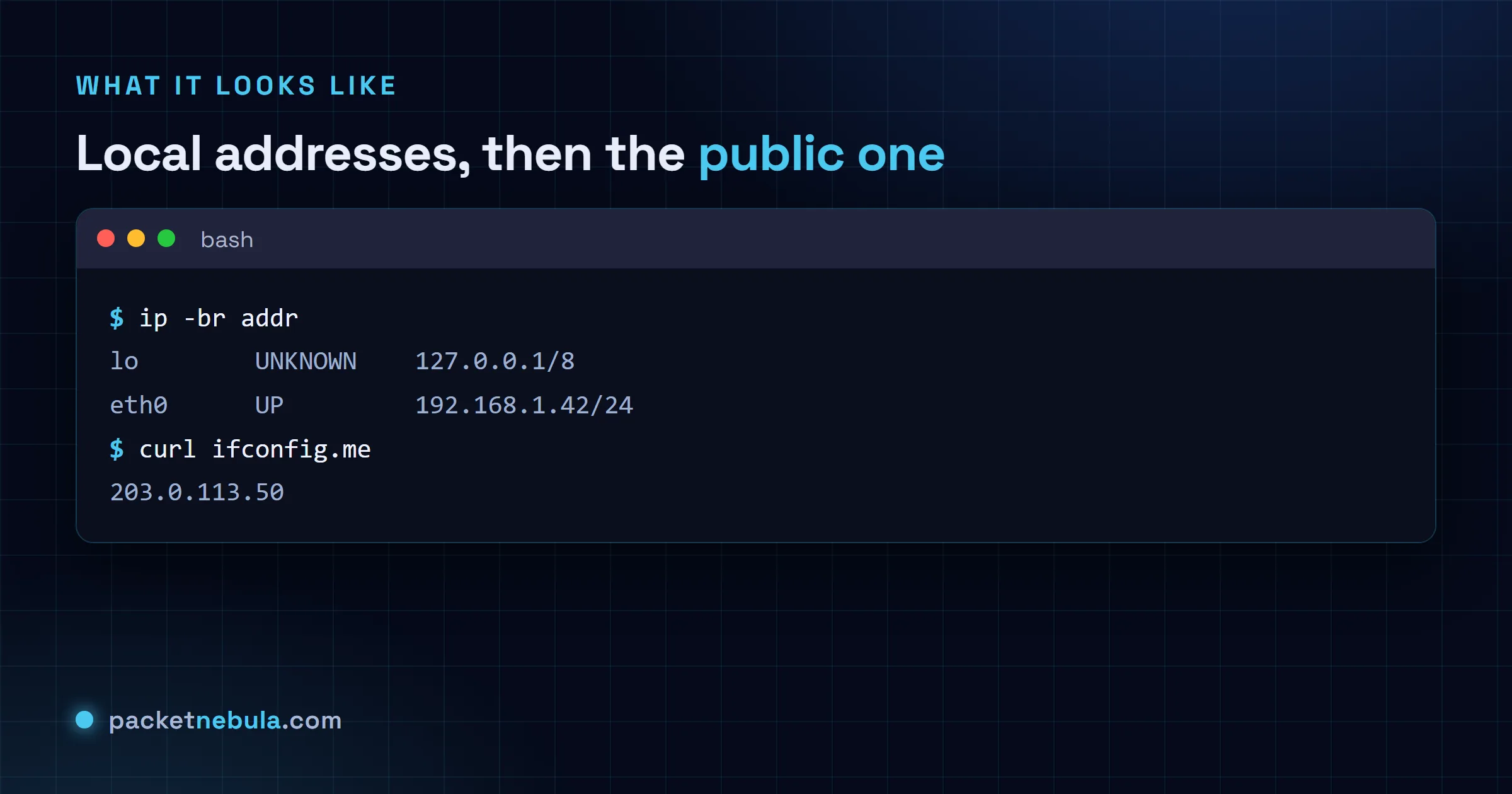 Terminal showing ip -br addr listing interfaces with their addresses, then curl ifconfig.me returning the public IP.