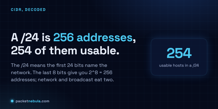 Answer card: a /24 is 256 addresses with 254 usable, because the first 24 bits name the network and the last 8 bits identify hosts.