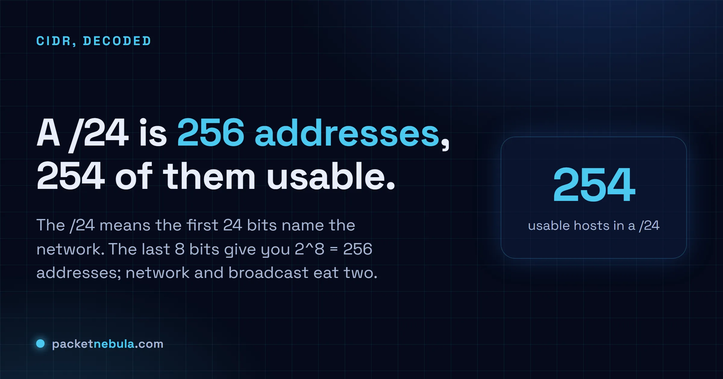 Answer card explaining that a /24 subnet contains 256 addresses of which 254 are usable for hosts.