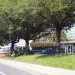 Broadcom Inc. headquarters in San Jose, California: the Broadcom sign by the roadside and an office building with a glass entrance behind a row of trees