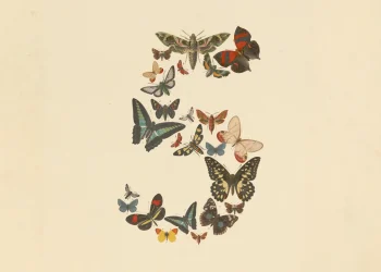 Vintage natural-history illustration of the numeral 5 built from butterflies and moths on cream paper