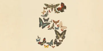 Vintage natural-history illustration of the numeral 5 built from butterflies and moths on cream paper