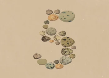 Announcement artwork for Claude Opus 5: the number 5 formed from vintage illustrations of speckled bird eggs on tan paper