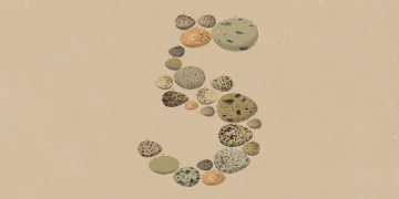 Announcement artwork for Claude Opus 5: the number 5 formed from vintage illustrations of speckled bird eggs on tan paper