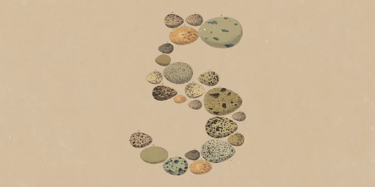 Announcement artwork for Claude Opus 5: the number 5 formed from vintage illustrations of speckled bird eggs on tan paper