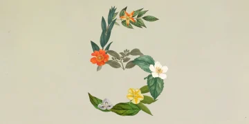 Botanical illustration of the numeral 5 built from flowers and leaves on a pale green paper background