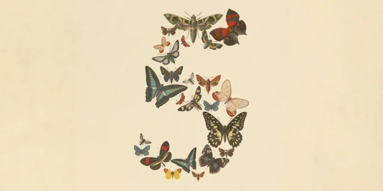 Announcement artwork for Claude Fable 5: the number 5 formed from vintage illustrations of butterflies and moths on cream paper