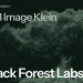 Black Forest Labs announcement image for FLUX 3 Image Klein: the model name and BFL logo in white over a large dark green tree
