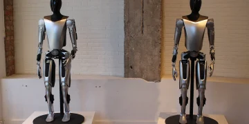 Two Tesla Optimus humanoid robots with silver torsos and black heads standing on display plinths in front of a white brick wall