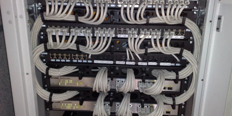 Network rack with D-Link Gigabit switches and Panduit patch panels connected by neatly bundled grey Ethernet patch cables